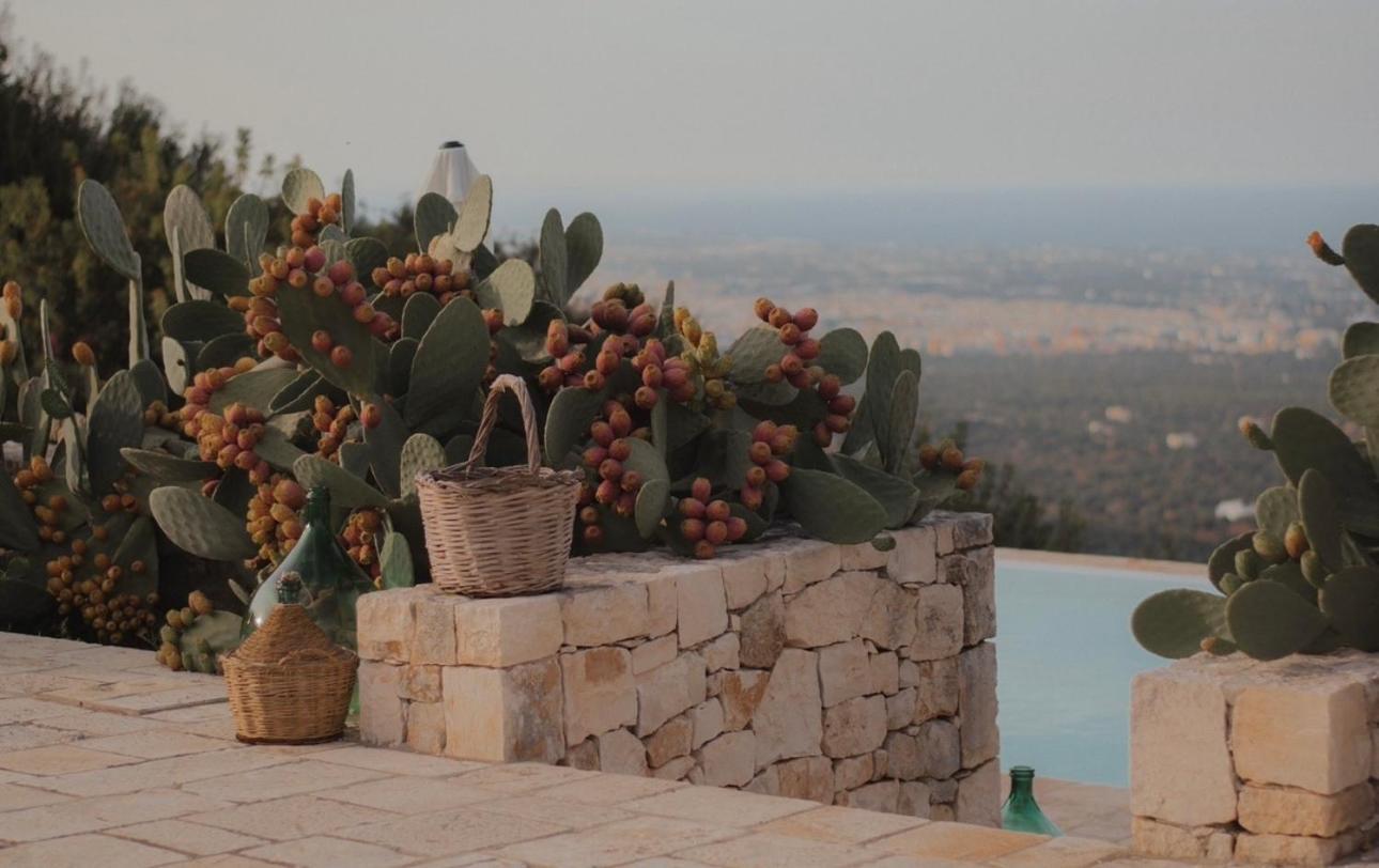 ファザーノ Dimora Le Ginestre Adults Only Bed & Breakfast エクステリア 写真