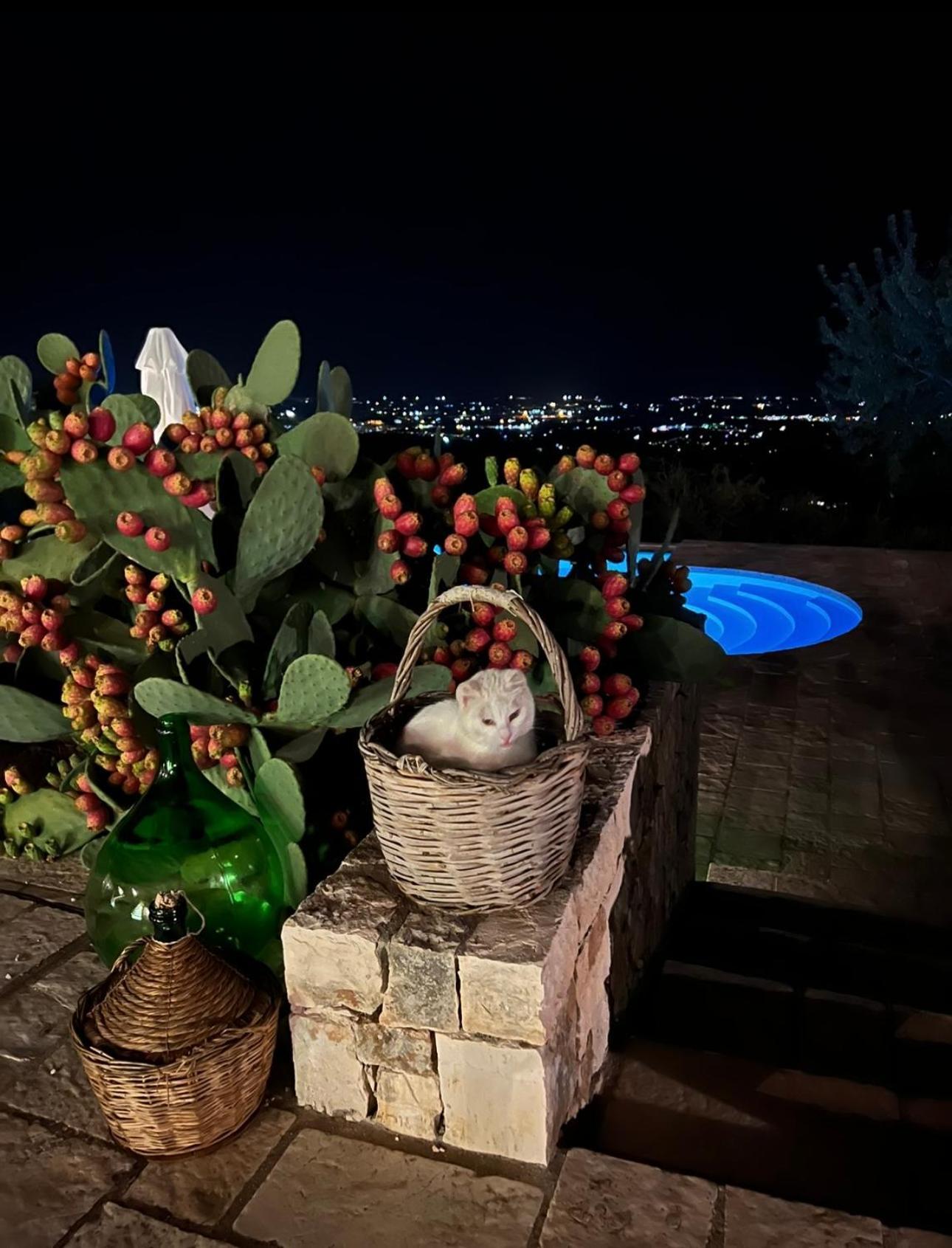 ファザーノ Dimora Le Ginestre Adults Only Bed & Breakfast エクステリア 写真